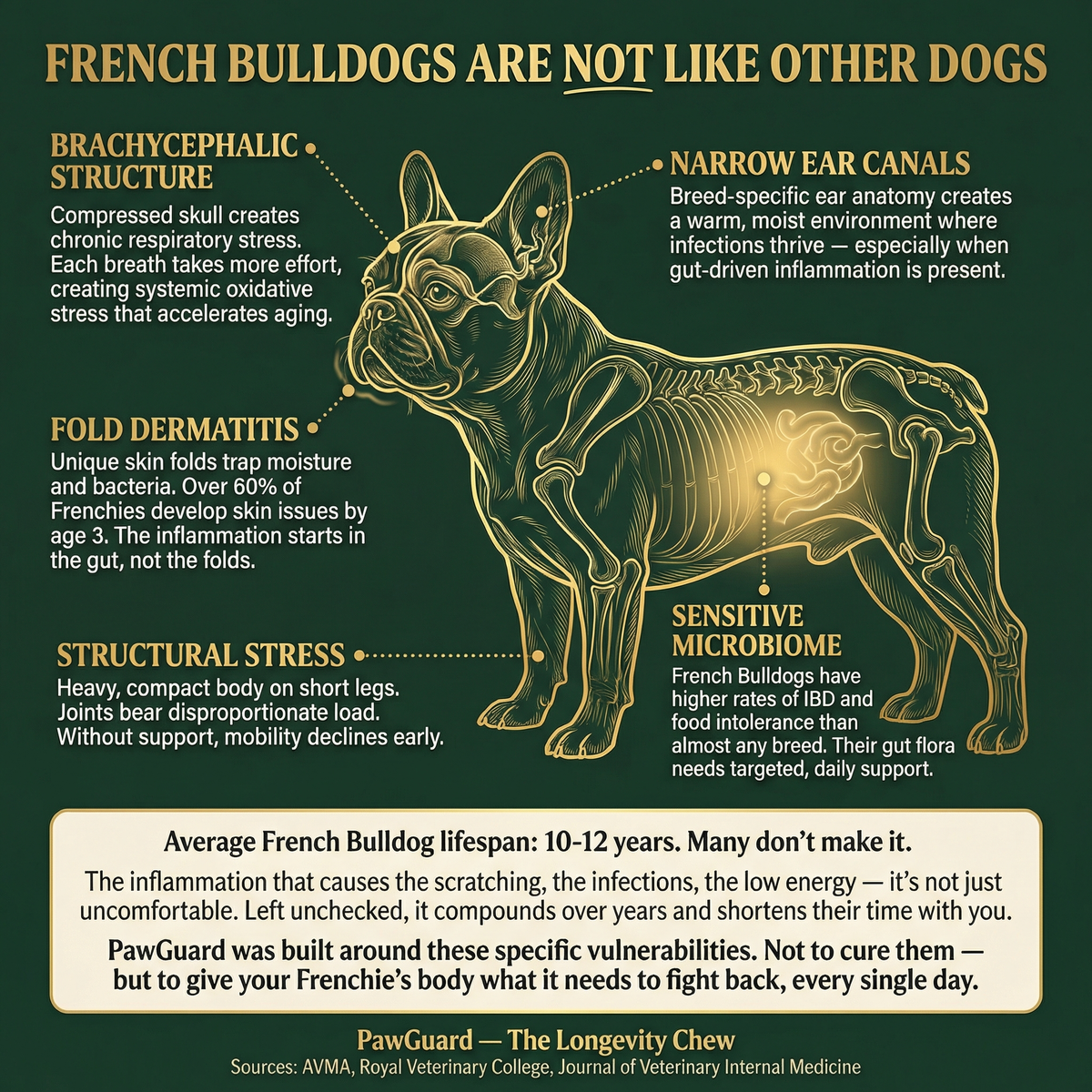 French Bulldog Longevity Chews